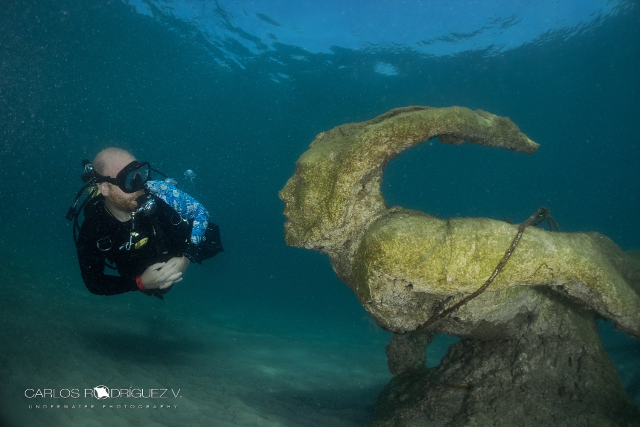 Diving in the depths of the Pacific Ocean