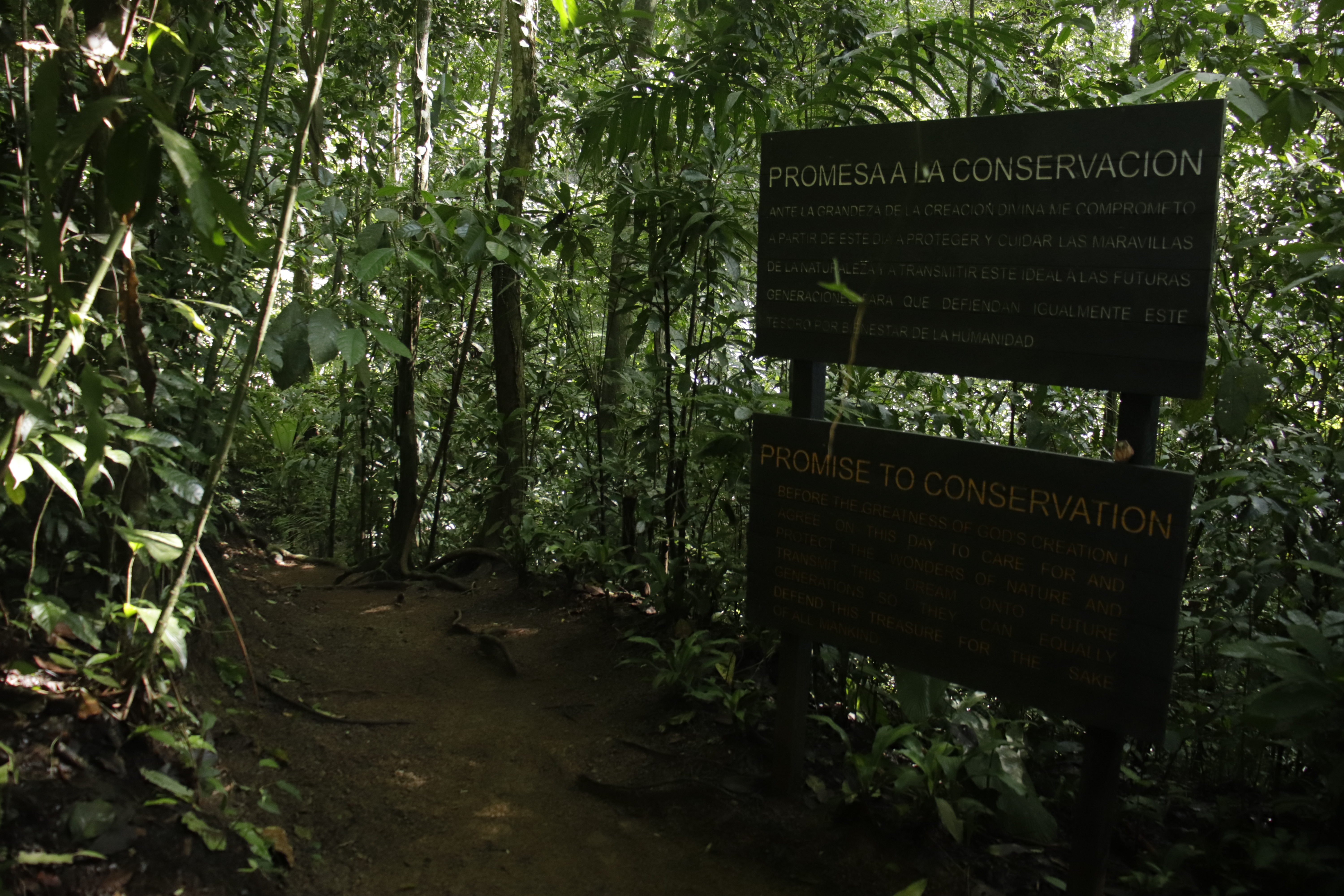 Season verde: The perfect time to visit Punta Leona!